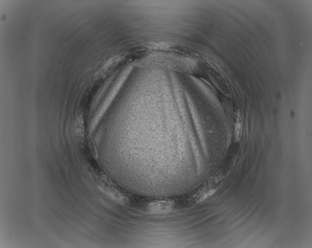 X0000067840700200604271620