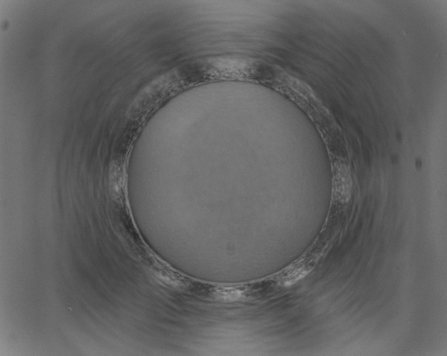 X0000067840701200604271620