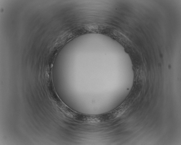 X0000067840702200604271620