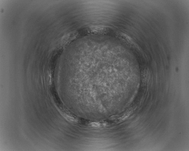 X0000067840703200604271620