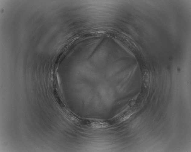 X0000067840707200604271620