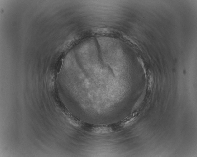 X0000067840708200604271620