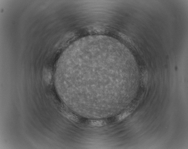 X0000067840709200604271620