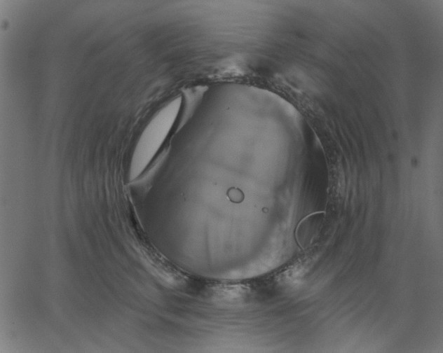 X0000067840711200604271620