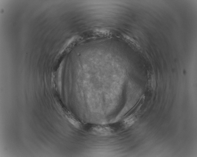 X0000067840712200604271620