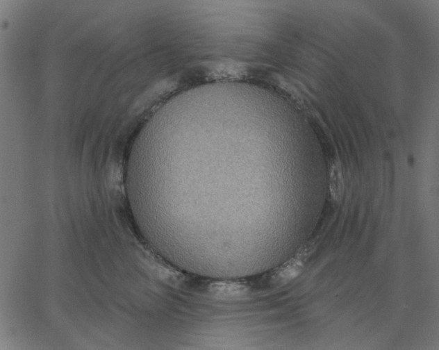 X0000067840714200604271620