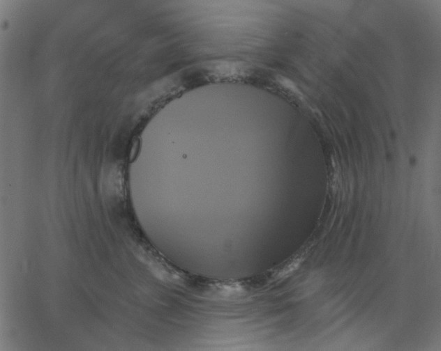 X0000067840715200604271620