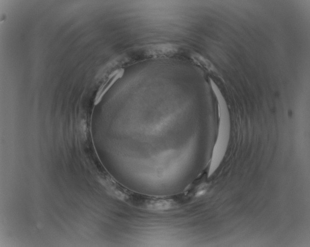 X0000067840716200604271619