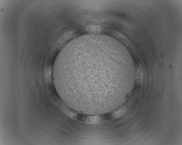 X0000067840717200604271619