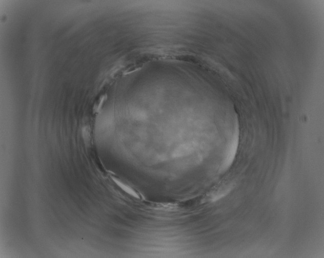 X0000067840720200604271619