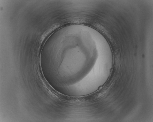 X0000067840721200604271619