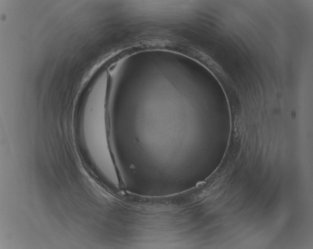 X0000067840722200604271619