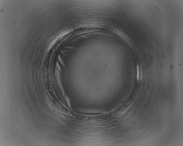 X0000067840723200604271619