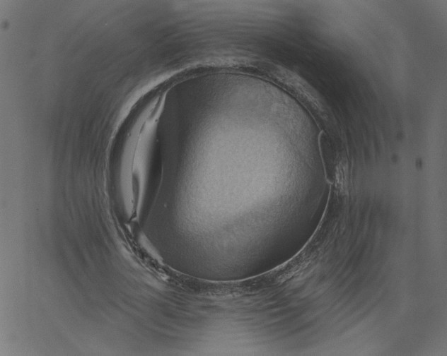 X0000067840724200604271619