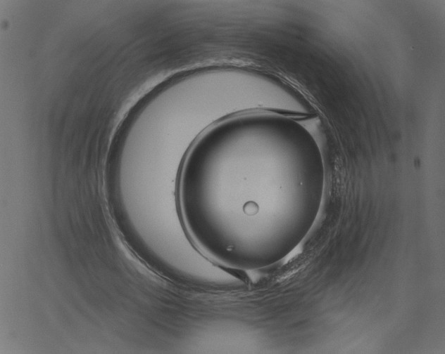 X0000067840726200604271619