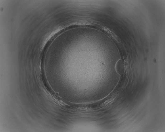 X0000067840727200604271619