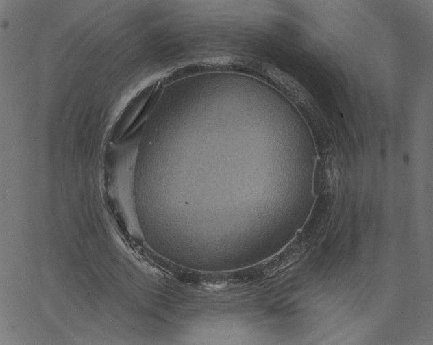 X0000067840728200604271619