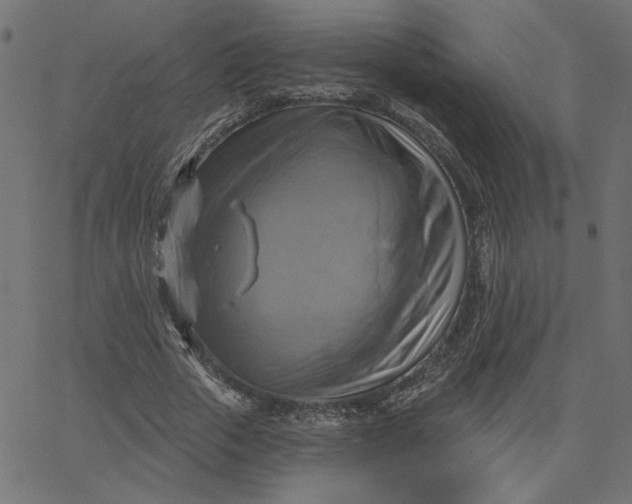 X0000067840729200604271619