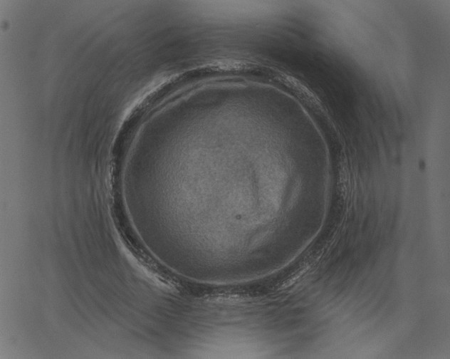 X0000067840730200604271619