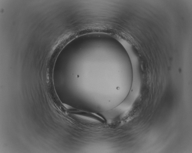 X0000067840731200604271619