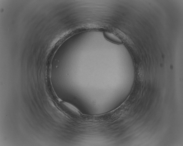 X0000067840732200604271619