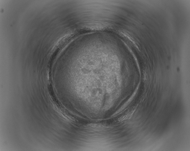 X0000067840733200604271619