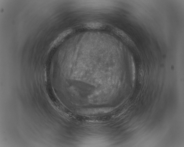 X0000067840734200604271619