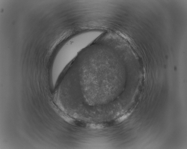 X0000067840735200604271619