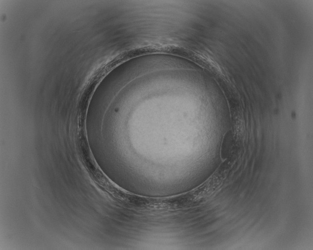 X0000067840736200604271619