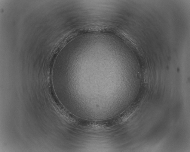 X0000067840737200604271619