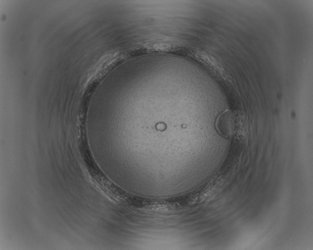 X0000067840738200604271619