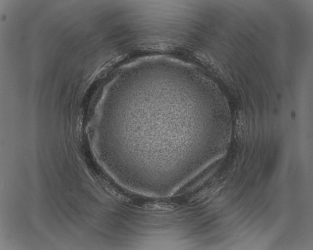 X0000067840739200604271619