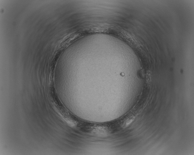 X0000067840741200604271619