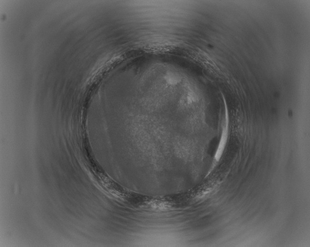 X0000067840742200604271619