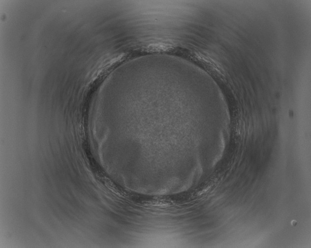 X0000067840743200604271619