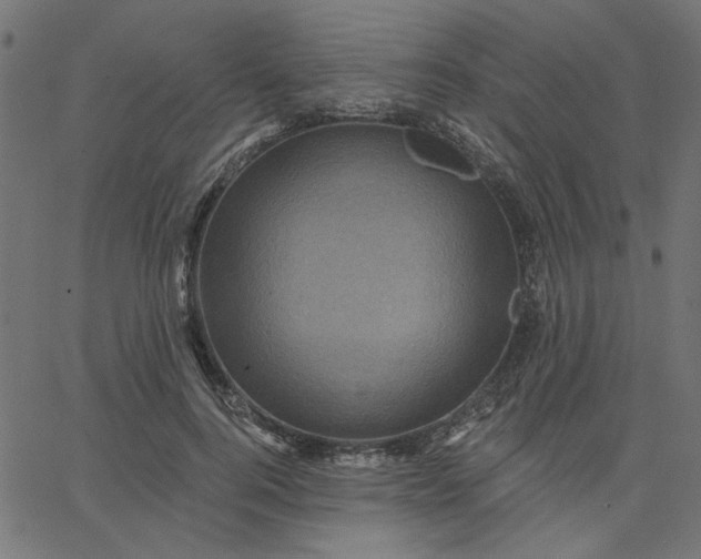 X0000067840744200604271619