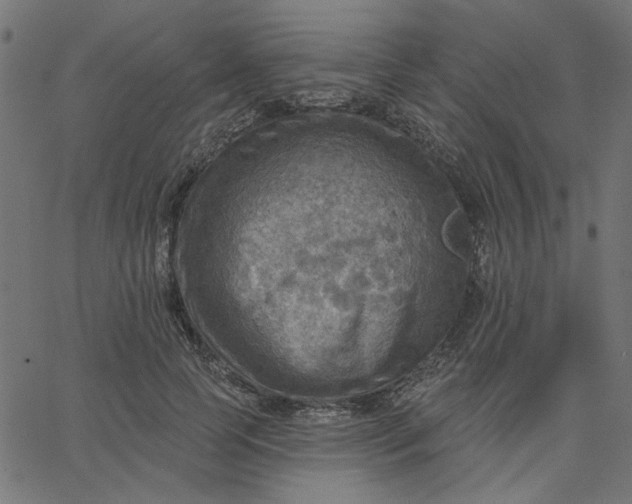 X0000067840745200604271619