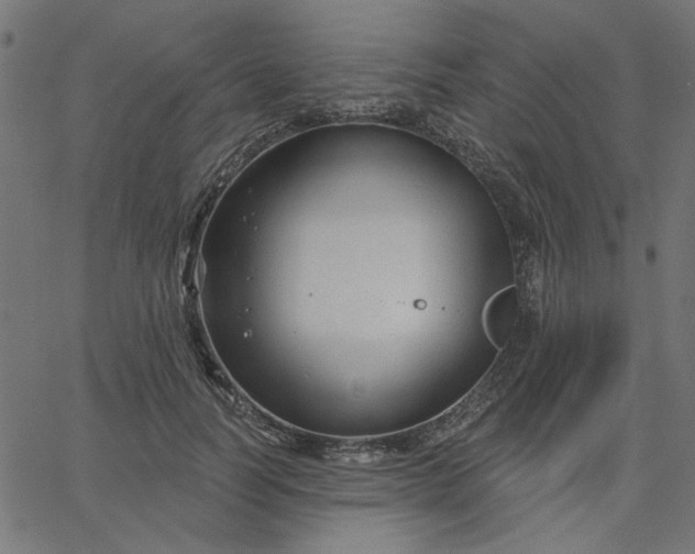 X0000067840746200604271619