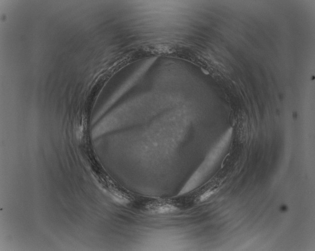 X0000067840747200604271619