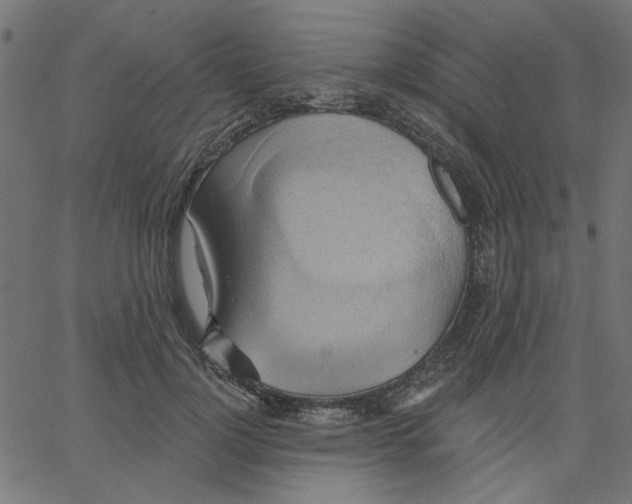 X0000067840748200604271619