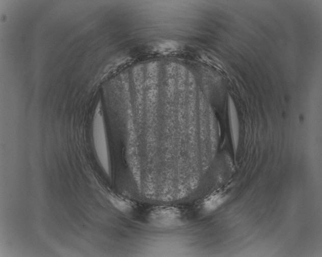 X0000067840750200604271619