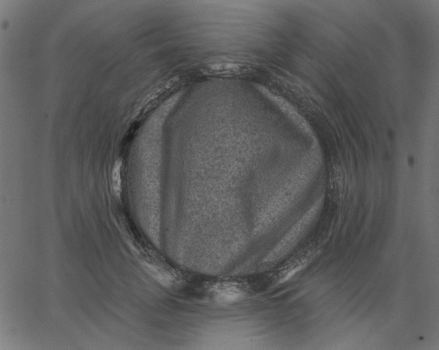 X0000067840751200604271619