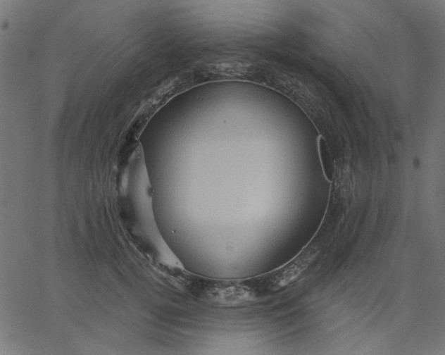 X0000067840752200604271619