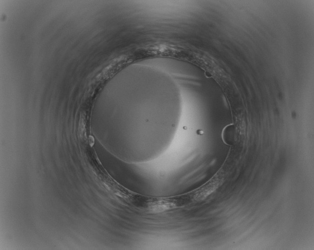 X0000067840754200604271619