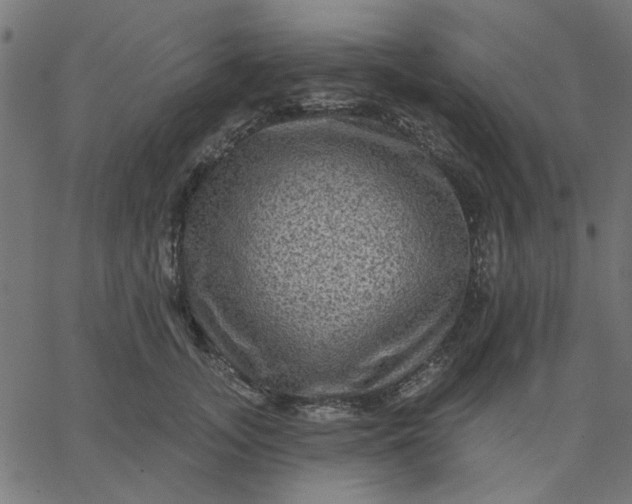 X0000067840755200604271619