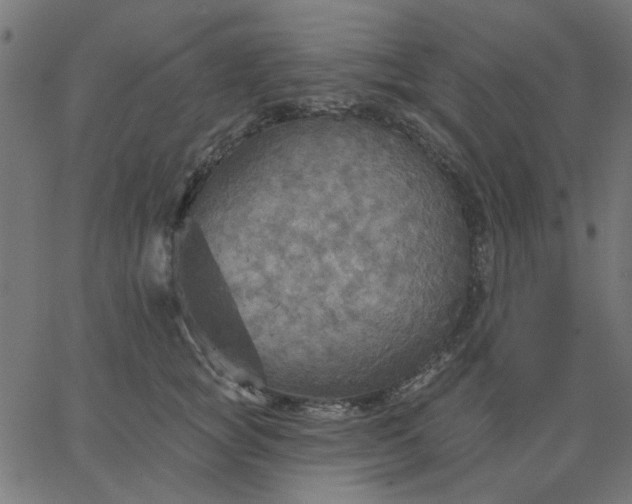 X0000067840757200604271619