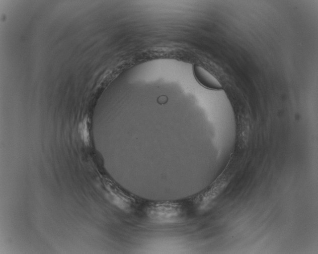 X0000067840758200604271619