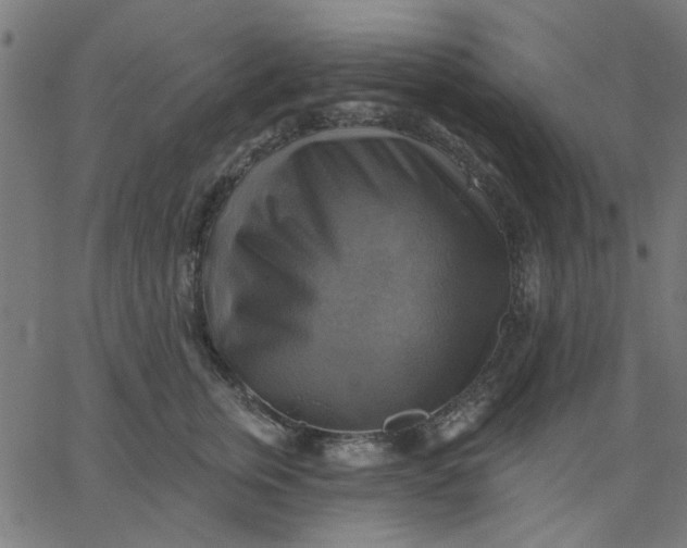 X0000067840759200604271619