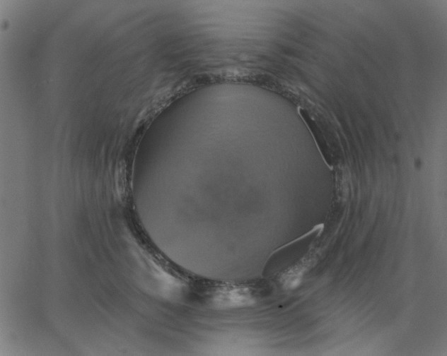 X0000067840760200604271619