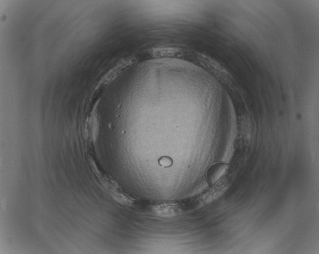 X0000067840761200604271619